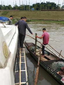 南溪區(qū)開(kāi)展國(guó)慶節(jié)前漁船安全生產(chǎn)專(zhuān)項(xiàng)檢查，確保畜牧漁業(yè)飼料銷(xiāo)售與漁業(yè)生產(chǎn)安全